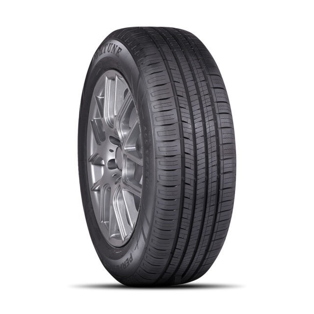 FORTUNE Perfectus FSR602 225\/55 R18 98V
