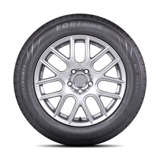 FORTUNE Perfectus FSR602 245\/50 R17 99V