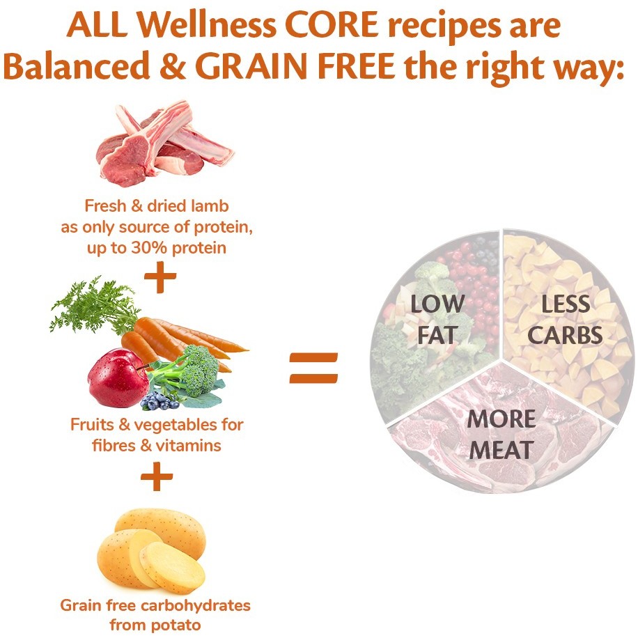 Wellness Core Adult All Breeds Lamb 10 kg