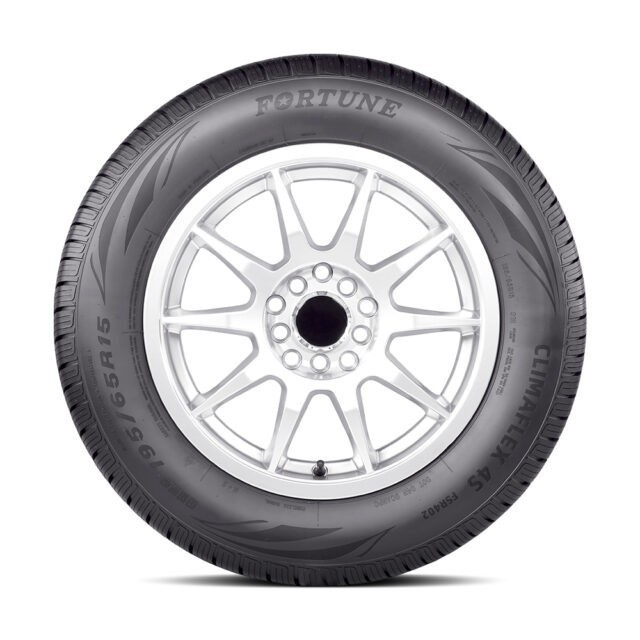 FORTUNE ClimaFlex 4S FSR402 195/65 R15 91H