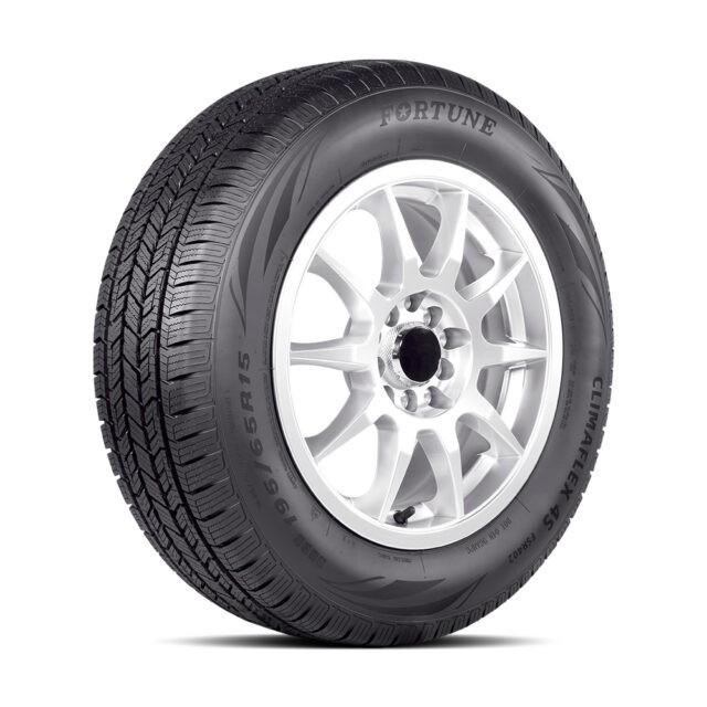 FORTUNE ClimaFlex 4S FSR402 195/65 R15 91H