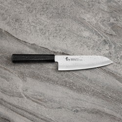 Sakai 14565