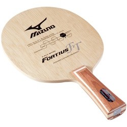 Mizuno Fortius FT