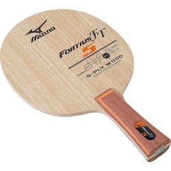 Mizuno Fortius FT5
