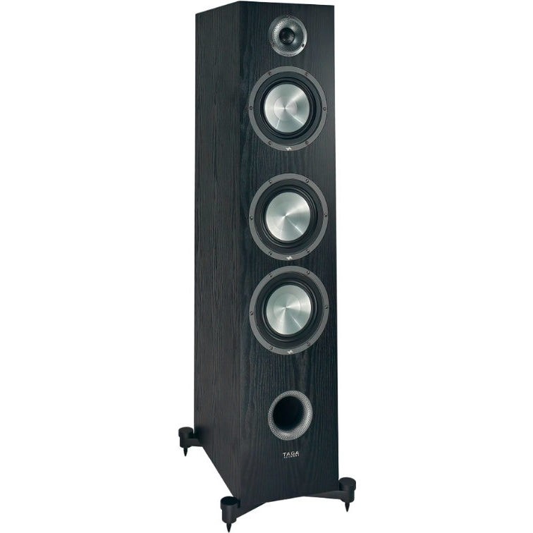 TAGA Harmony F-100 v.4