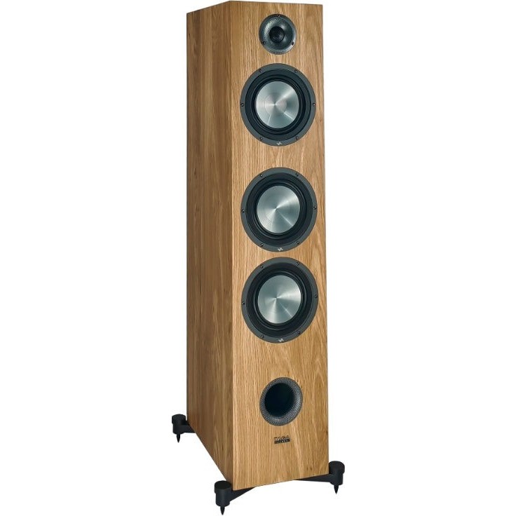 TAGA Harmony F-100 v.4