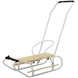 LEAN Toys Sled with Push