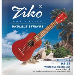 Ziko DS-23
