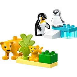 Lego Wild Animal Families Penguins and Lions 10442