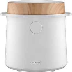 Concept RE3030