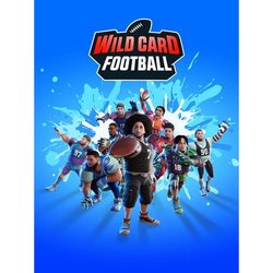 Saber Interactive Wild Card Football