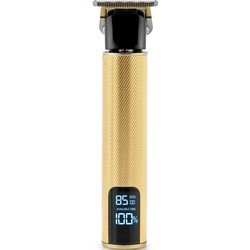 Berdsen BD-260
