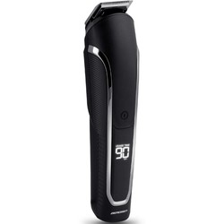 Berdsen BD-262