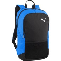 Puma teamGOAL 90239