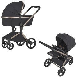 Anex Flo 2 in 1