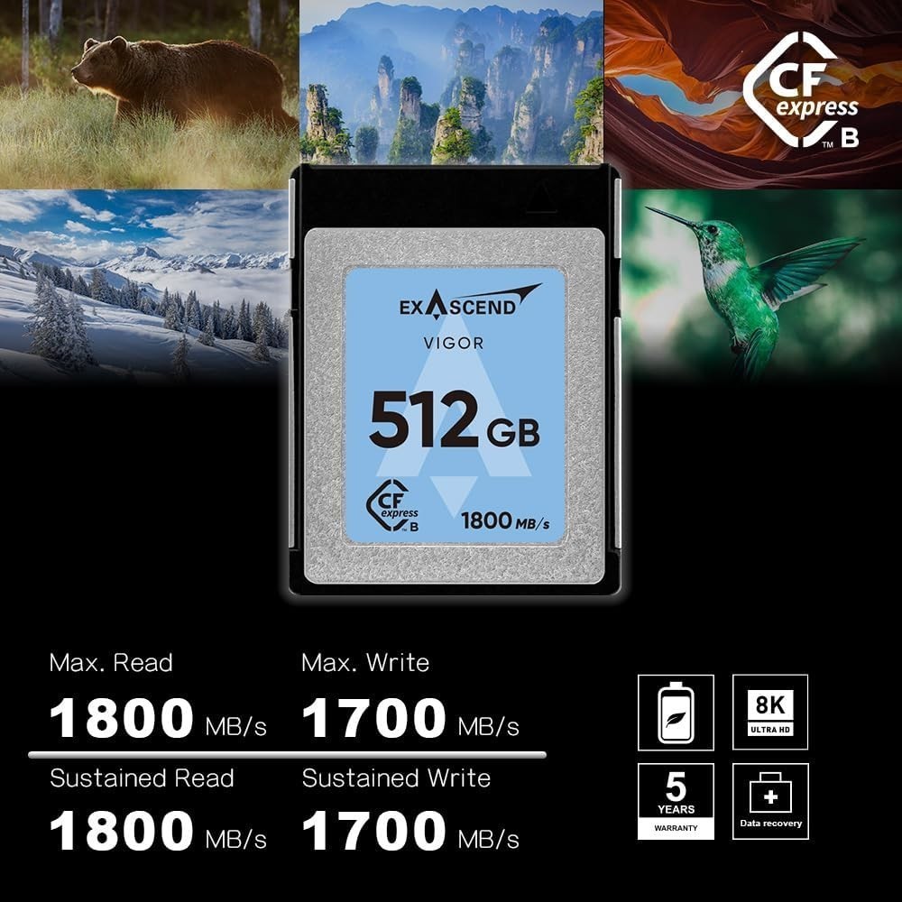 Exascend Vigor CFexpress Type B 256Gb