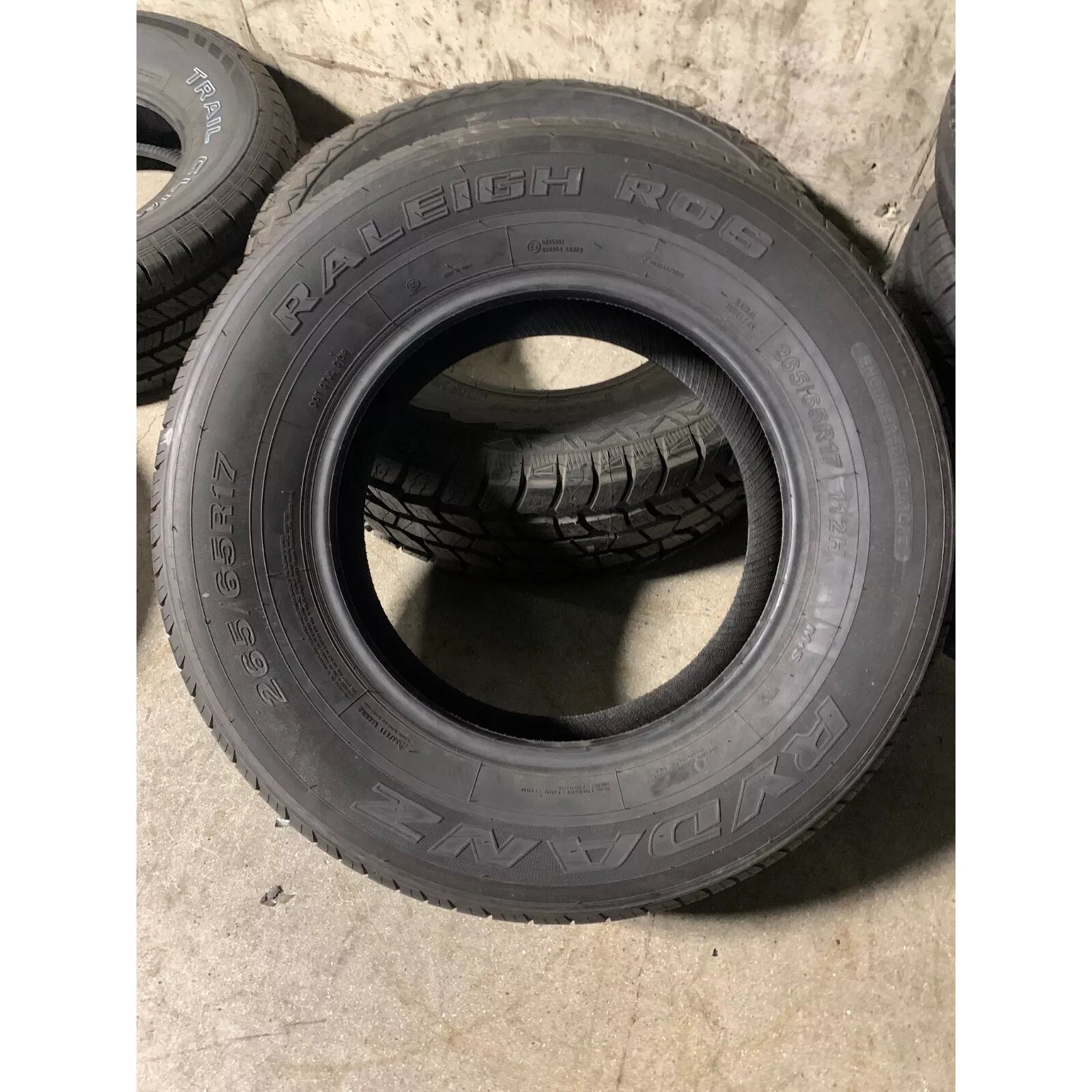 Rydanz Raleigh R06 235/55 R19 105W