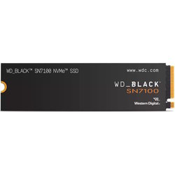 WD WDS100T4X0E