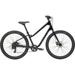 Marin Stinson 1 2025 frame M