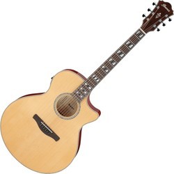 Ibanez AE170