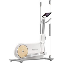 Xiaomi Yesoul EF25