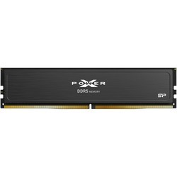 Silicon Power SP032GXLWU60BFSJ