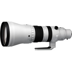 Sigma 300-600mm f/4.0 Sports OS DG