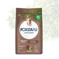 Forza 10 Maintenance Adult Medium Lamb 12 kg