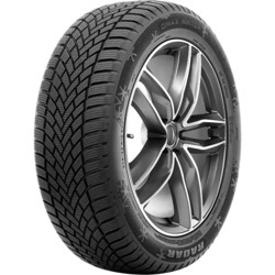 Radar Dimax Winter 205/60 R16 92H