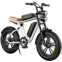 ENGWE M20 750W Dual