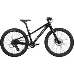 Cyclone Ultima 24 2025