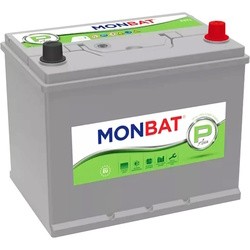 Monbat Type P JIS 6CT-65R