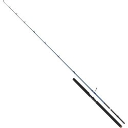 Savage Gear SGS2 Offshore Plug 250-60