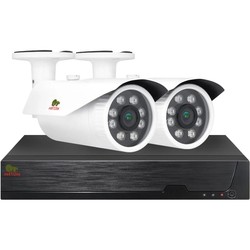 Partizan AHD-42 2xCAM 1xDVR HDD