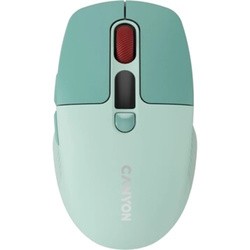 Canyon CNS-CMSW26