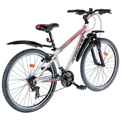 Forward Trinity 887 2013