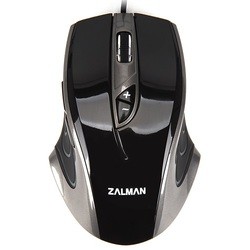 Zalman ZM-GM1