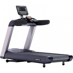 Pulse Fitness 260G