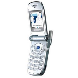 Samsung SGH-Z100