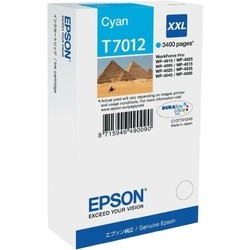Epson T7012 C13T70124010