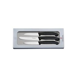 Victorinox 6.7113.3G