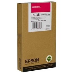 Epson T603B C13T603B00