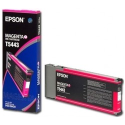 Epson T5443 C13T544300