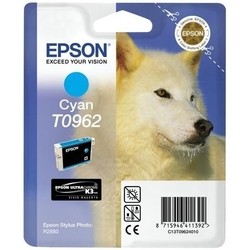 Epson T0962 C13T09624010