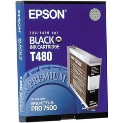 Epson T480 C13T480011