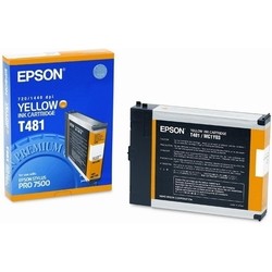 Epson T481 C13T481011