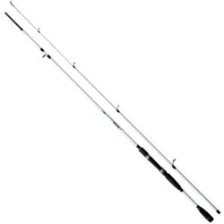 Lineaeffe Saltwater Spinning 300