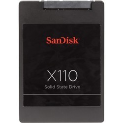 SanDisk X110