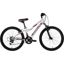 Comanche Pony Comp M frame 11