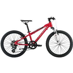 ORBEA MX 20 XC 2014